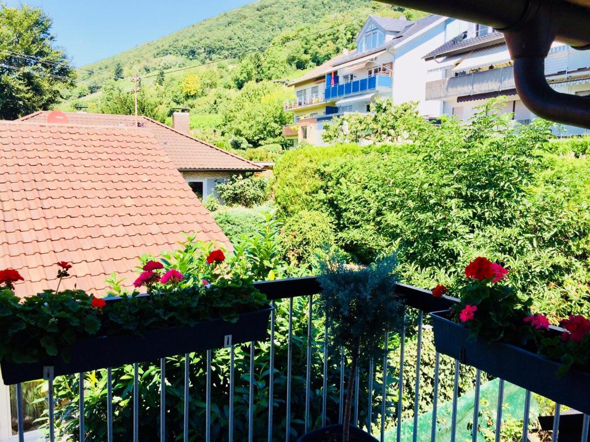Gaestehaus Kerle 도젠하임 외부 사진